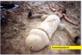 /album/imagens/perolasdoorkut-com-br-4504kk-jpg/